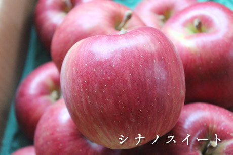 シナノスイート　赤いりんご果実