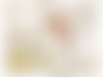 夫がやべぇ事を言い出しました。