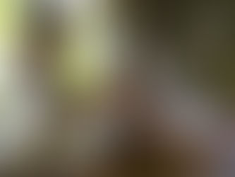 Россияне выбирают СНГ: спрос на поездки в майские праздники заметно вырос