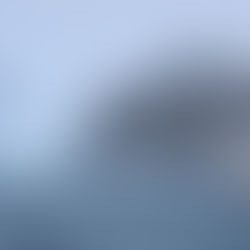 Российские кайтсерферы установили четыре мировых рекорда в Антарктиде