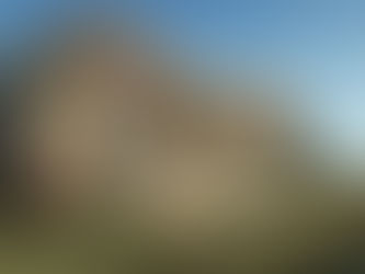 Nammos Resort AMAALA - средиземноморский lifestyle на Красном море