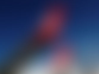 В России не разрешили Turkish Airlines выполнять перевозку россиян в Турцию на майские