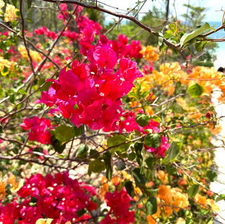 Туристический налог в Каталонии: повышение ставок с 1 апреля 2026 года