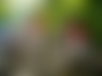 Минтранс предложил отменить постановление, запрещающее перевозить детей на автобусах старше 10 лет