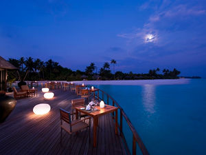 Эксклюзивная дегустация в The Sun Siyam Iru Fushi Maldives