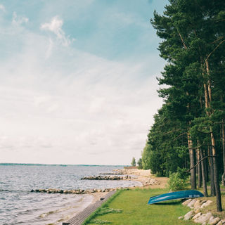 Россия расширяет действие электронных виз и увеличивает срок пребывания