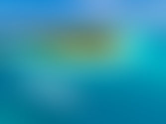 Kuramathi Maldives: наблюдение за дельфинами лучше любого антистресса