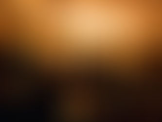 Предпремьерный показ фильма «Кунсткамера. Вертикальный музей» в Петербурге