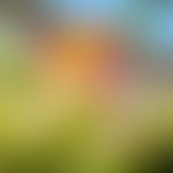 Россияне выбирают Турцию, Узбекистан и Китай для майского отдыха