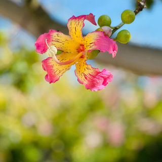 Россияне выбирают Турцию, Узбекистан и Китай для майского отдыха