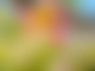 Россияне выбирают Турцию, Узбекистан и Китай для майского отдыха