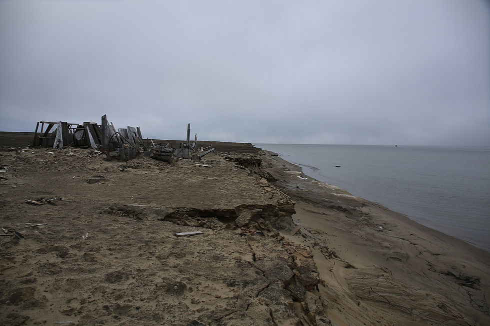 Берег острова Алджера у зимовья экспедиции Э. Болдуина летом 2017 года. Фото - Юлия Петрова www.turpressa.com