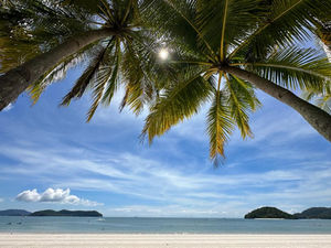 С начала этого года Таиланд посетили около 1,3 миллиона россиян