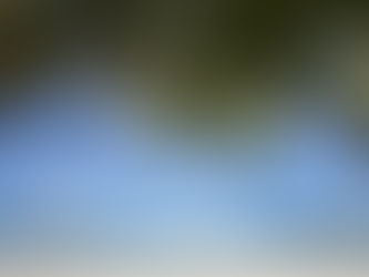 С начала этого года Таиланд посетили около 1,3 миллиона россиян