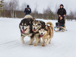 В Якутии стартует экстремальный забег при температуре в -52! Якуты бегут за 100 000 рублей