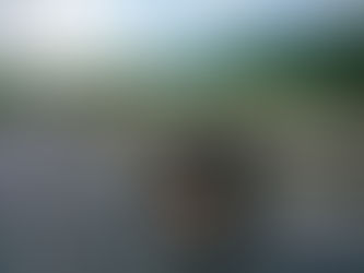 Какой вид транспорта россияне считают самым безопасным