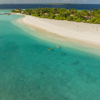 Курорт Noku Maldives объявил о запуске новой программы по размножению кораллов