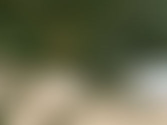 Болгария 2016. Новый сезон - что почем?!