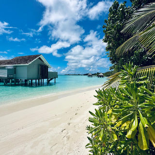 Свежий отчет Future Journeys Report 2035 раскрывает, каким станет туризм завтрашнего дня