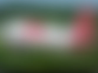 На сайте Red Wings теперь можно арендовать квартиру