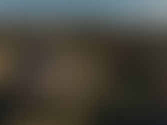 Эксперты назвали самые доступные африканские направления для летнего отдыха