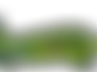 У самолета авиакомпании S7 перед посадкой в Казани отказал двигатель