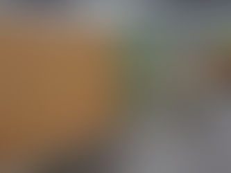 В австрийском Гальштате поставил забор, чтобы помешать селфи туристов