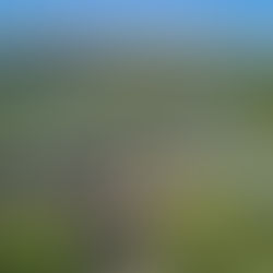 JA Mar Hall: шотландская тишина и спа-ритуалы вне времени