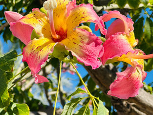 В Узбекистане ждут миллион туристов из России