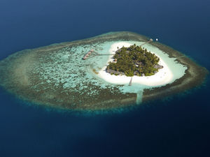 Kandolhu Maldives: сокровища подводного мира