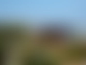 Mulia представляет - летняя вечеринка RAPTURE