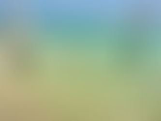 Максимальная температура в 2024 году в Таиланде может достигать 45 градусов по Цельсию