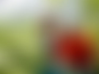 Дегустационные залы крымских винзаводов посетили 500 тыс. туристов – Вадим Волченко