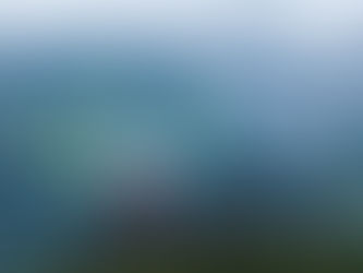 Ужесточение требований для путешественников на Бали не повлияет на количество туристов из России