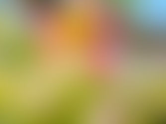 Управление ООН по туризму раскрывает 52 лучших туристических деревни мира