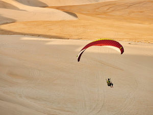 Аэрофлот, Победа, S7 отдадут долги из госбюджета. За невыполненные с апреля рейсы заплатит Кремль.