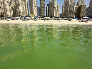 Из Москвы в Дубай на 23 февраля. Самый дорогой тур сезона!