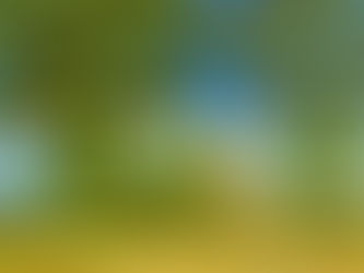 Туристический налог для въезжающих в Таиланд будет введен в сентябре