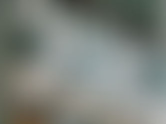 Забытые истории старых парадных Петербурга