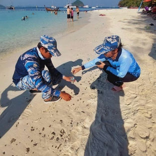 Мазут на Пхукете. Раваи и Ката под угрозой. Где чистые пляжи?!