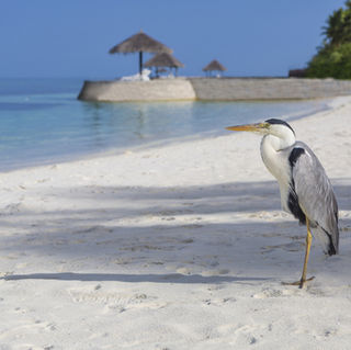 UN Tourism: самые популярные страны для зарубежного отдыха