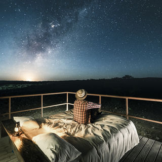 Яндекс Путешествия представили обновлённую экосистему сервиса