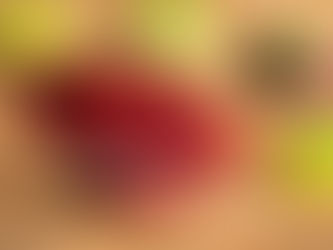 Бельгия: новые музеи шоколада в шоколадной стране