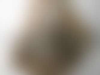 В подмосковной Рузе нашли кораллы