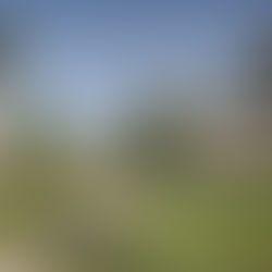 Calm Spa - адрес восстановления в отеле JA Palm Tree Court