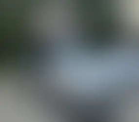 Две трети опрошенных россиян собираются проводить время на природе в палатках в 2025 году