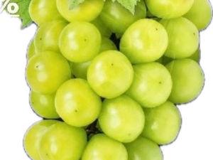 Таиланд запретил продажу винограда сорта «Шайн Мускат»