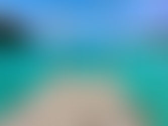 Цены на взлет: новые терминалы ставят под угрозу доступность авиаперелетов в России