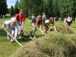 Новинки «СеноFEST»-2023