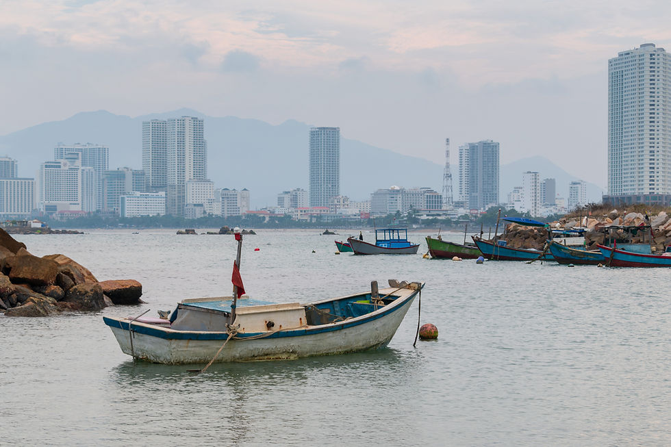 Нячанг со стороны моря. Фото: Dominic Nelson, CC BY-SA 4.0